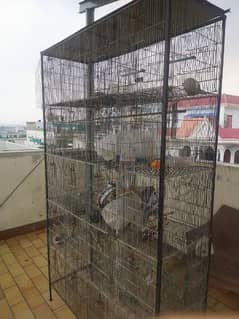 20 slot big cage