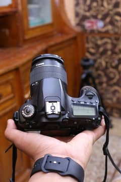 Canon Eos 60d with 18/55mm professional dslr.