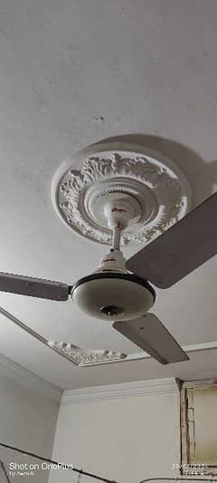 Ceiling fan