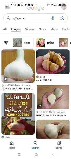 G1 garlic