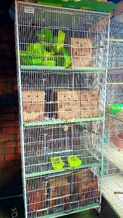 lovebirds cage