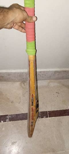 hard ball cricket bat