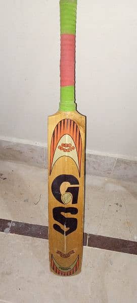 hard ball cricket bat 2