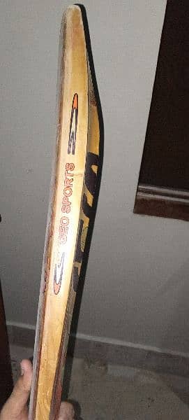 hard ball cricket bat 7