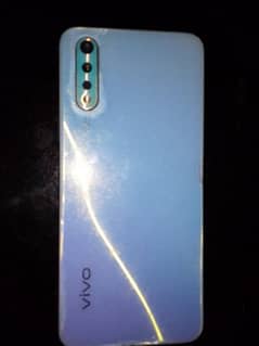 S1 vivo