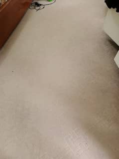 2500 sqft home used carpet up for sale just like new