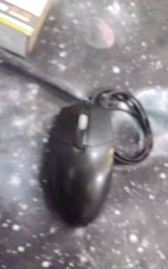 office mouse