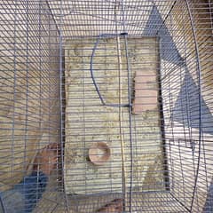 Cage for Sell high quality 2foot length  ha or 2.8 foot width ha