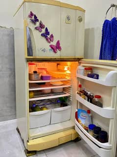 PEL Refrigerator in 100% Genuine Working Condition - Large Size