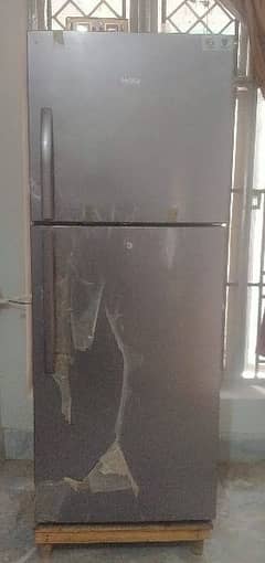 Haier Refrigerator 384 L 03036343333