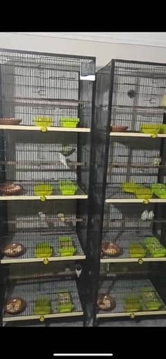 Cages | Birds Cage | Hens Cage | Parrots Cage | Available