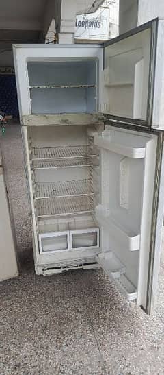 dwlnce and Haier fridges