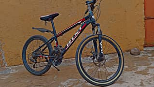 Rixi 22" Bicycle for Sale - Excellent Condition!