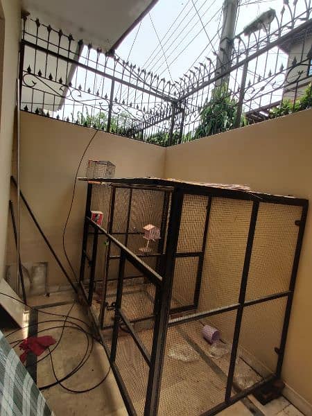 BIRDS CAGE 5.5FT 0