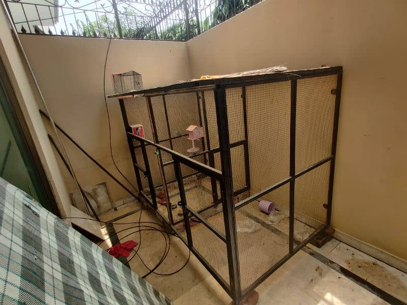 BIRDS CAGE 5.5FT 1