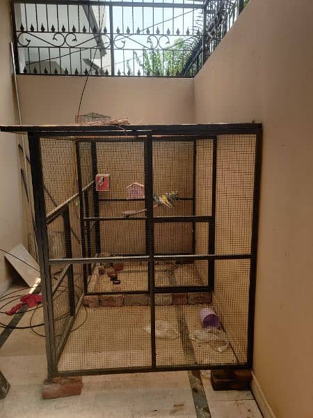 BIRDS CAGE 5.5FT 5