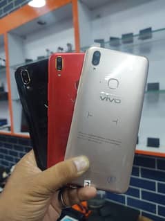 Vivo