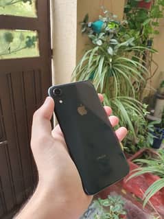 iphone xr official pta approved