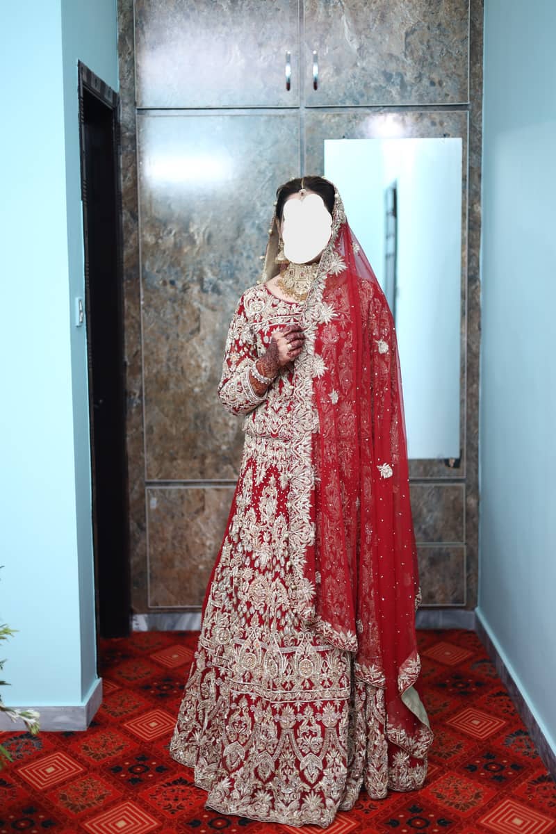 Bridal/Barat Dress/Lehnga 3