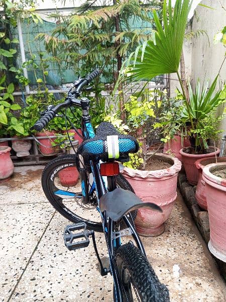 Phoenix brand new Cycle for sale 4