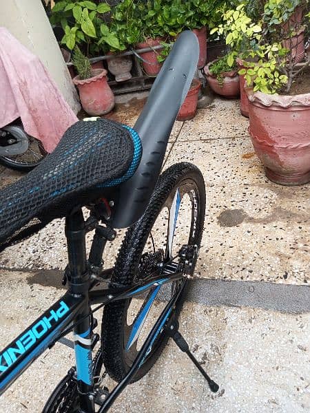 Phoenix brand new Cycle for sale 6