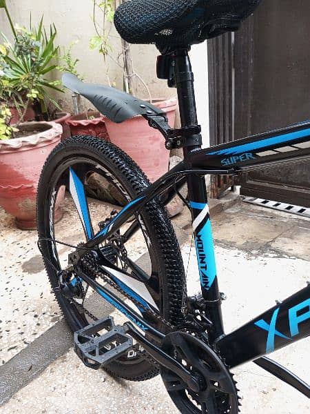 Phoenix brand new Cycle for sale 7