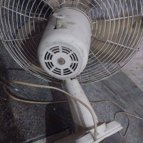 fan for sell 2