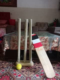 Bat ,ball,wicket and tape