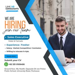 SALES EXECUTIVE