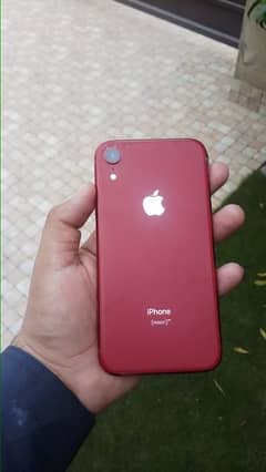 iPhone Xr 128 Dual PTA