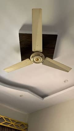 4 ceiling fans