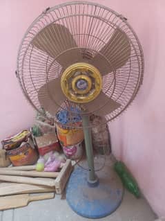 fan