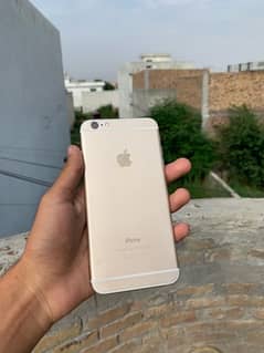 iphone6plus 64 GB pta official approved condition 10/9