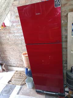 Haier Refrigerator  E - Star