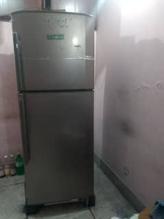large/full size fridge for sale