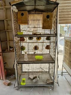 Birds Cage