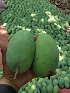 Mangoes
