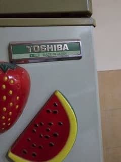 Toshiba Fridge