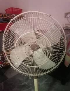 Fan