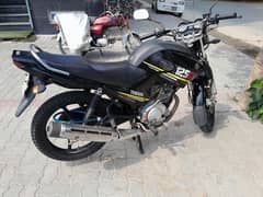 Yamaha YBR 125G 2021 For Sale / Yamaha Bikes