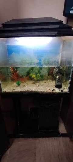 Fish Aquarium with Wooden Table