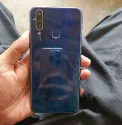 vivo