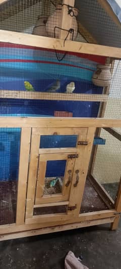 birds cage with 6 Australian birds