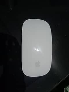 What Apple mouse is model A1657?

(A1657) Apple Magic Mouse 2 (White)