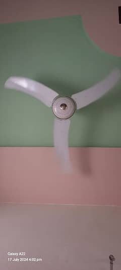 ceiling fans copper