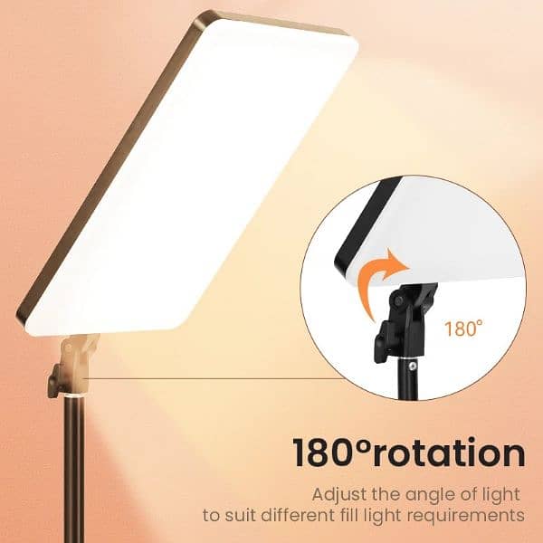 Professional P19 Studio Photography Light with Stand & Remote Control 0