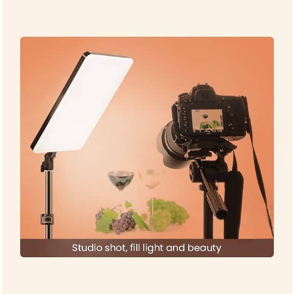 Professional P19 Studio Photography Light with Stand & Remote Control 1