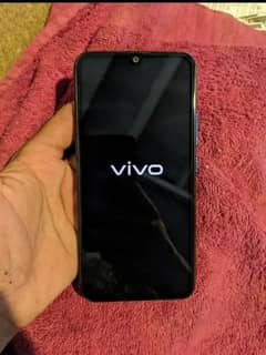 vivo