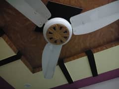 one month used fan