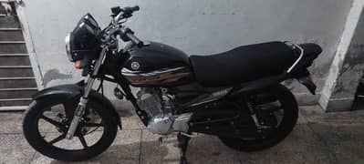 Yamaha YBR 125 2021 Urgent For Sale